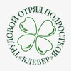 Логотип телеграм канала @top_clever — ТОП «Клевер»💚