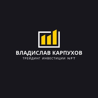 Логотип телеграм канала @topbizidvk — Владислав Карпухов Трейдинг Инвестиции NFT