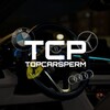 Логотип телеграм канала @topcarsperm — top cars perm | #tcp159 |