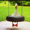 Логотип телеграм канала @topchik_umor — ПОСТ ИРОНИУМ