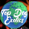 Logo of telegram channel topdogexoticsla — TopDogExotics
