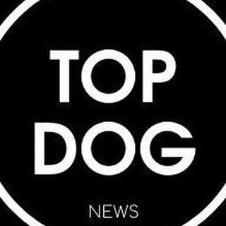 Логотип телеграм канала @topdognews — TOPDOG.news