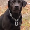 Логотип телеграм канала @toperanki — Сильнейший игрок