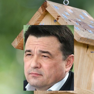 Логотип телеграм канала @topmosreg — Скворечник Воробьева: Топ Подмосковья