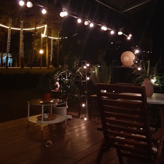 टेलीग्राम चैनल का लोगो topmuzon01 — Top Music