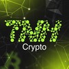 Логотип телеграм канала @topnethub — TNH Crypto