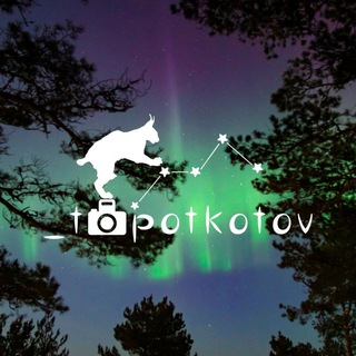 Логотип телеграм канала @topotkotov_photo — _topotkotov