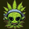 Logo of telegram channel topshelfwarehouse — DECENT SHOP🌈❄️🌬💨🌎🌏