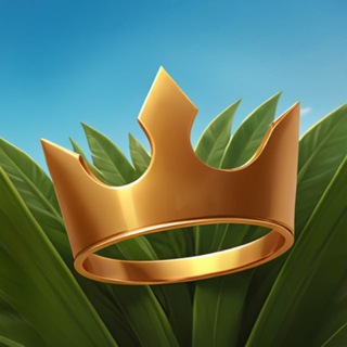 Telegram channel TopSkin logo
