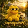 Логотип телеграм канала @toptushka22 — Toptushka stars