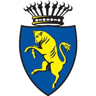 Telegram channel Torino logo