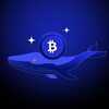 Logo of telegram channel tormexsignals — Whale X - Weekly Signals