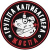 Логотип телеграм канала @tormoznoyvagon — Тормозной Вагон