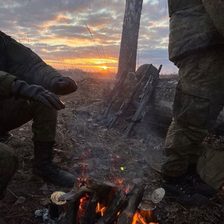 Логотип телеграм канала @torpedaa46 — Торпеда46
