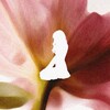 Логотип телеграм канала @torretblomst — сухоцвет