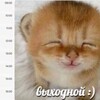 Логотип телеграм канала @toshaeshkereq — 🎄❄️ клуб хейтеров леши ( щитпост тоши )