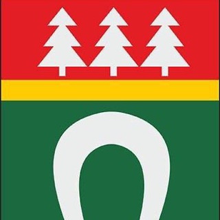 Логотип телеграм канала @tosnenskiy_main — Тосненский | Главный