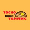 Логотип телеграм канала @tosno_tennis — Тосно-теннис