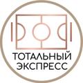 Логотип телеграм канала @totalexp — tiktockbott