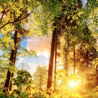 டெலிகிராம் சேனலின் சின்னம் totalidad_nodualidad — 🌎🌏 x la VIDA💡 Salud-ConsCiencia