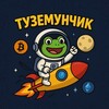 Логотип телеграм канала @tothemoonchik — Туземунчик