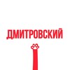 Telegram channel Касается Дмитровского района logo
