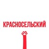 Логотип телеграм канала @touch_krasnoselsky — Касается Красносельского района