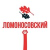 Логотип телеграм канала @touch_lomonosovsky — Касается Ломоносовского