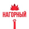 Telegram channel Касается Нагорного logo