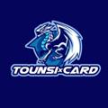 Logo saluran telegram tounsicard — Tounsi Card 🌍🧑‍💻