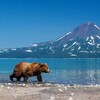 Логотип телеграм канала @tourizm_russia — РОССИЯ | Туризм