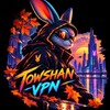 Логотип телеграм канала @towshanvpn — TowshanVpn 🐇