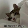 Логотип телеграм канала @toxicprepod — Токсичный препод