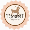 Telegram kanalining logotibi toyrentuz — ToyrenT