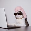 Логотип телеграм канала @tozhe_rabota — это тоже работа