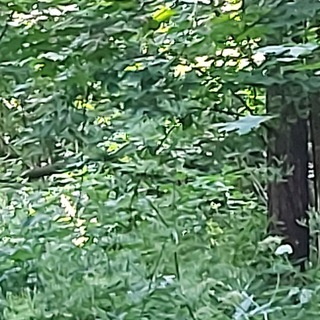 Логотип телеграм канала @tpaxhyl — Ты еблан