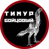 Логотип телеграм канала @tr6699399 — ТИМУР БОЙЦОВЫЙ