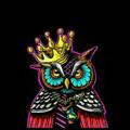 电报频道的标志 trabarbyblackowl — THE BLACK OWL TRADER 🇮🇩🇲🇾🇮🇳🇧🇷🇺🇦