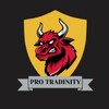 Logo of telegram channel tradervignesh — Pro Tradingity fx