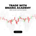 Telegram channel TradewithBnaira01 logo
