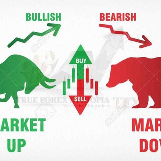 Logo saluran telegram trading_lessons_forum — Trading Lessons