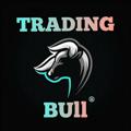 Logo saluran telegram tradingbulloptions — ACCOUNT HANDLING