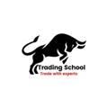Logo saluran telegram tradingschool_learning — Trading school learning
