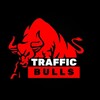 Логотип телеграм канала @traffic_bulls — ПЕРЕХОДНИК | TRAFFIC BULLS