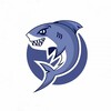 Логотип телеграм канала @trafficsharkagency — Traffic Shark PRO
