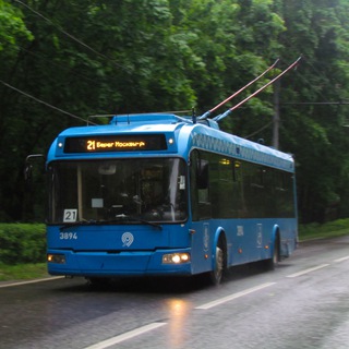 Логотип телеграм канала @tramtrollbus — Василий и трамвайчики