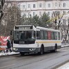 Логотип телеграм канала @tramtrollbusnew — Василий и трамвайчики