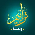 Logo saluran telegram traneem14 — ترانيم واحة✨