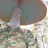 Логотип телеграм канала @trankvili7ator — anj