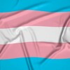 Logo of telegram channel trans_community_1 — Trans community